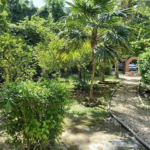 mini-pini-bird-watching-loft.allrivieramayahotels.com/